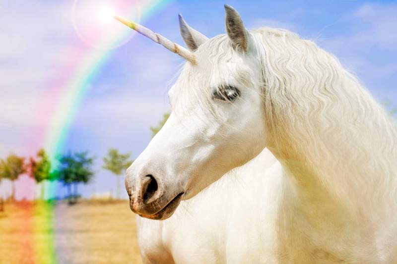 Was kommt nach dem Einhorn? Was kommt nach dem Einhorn?