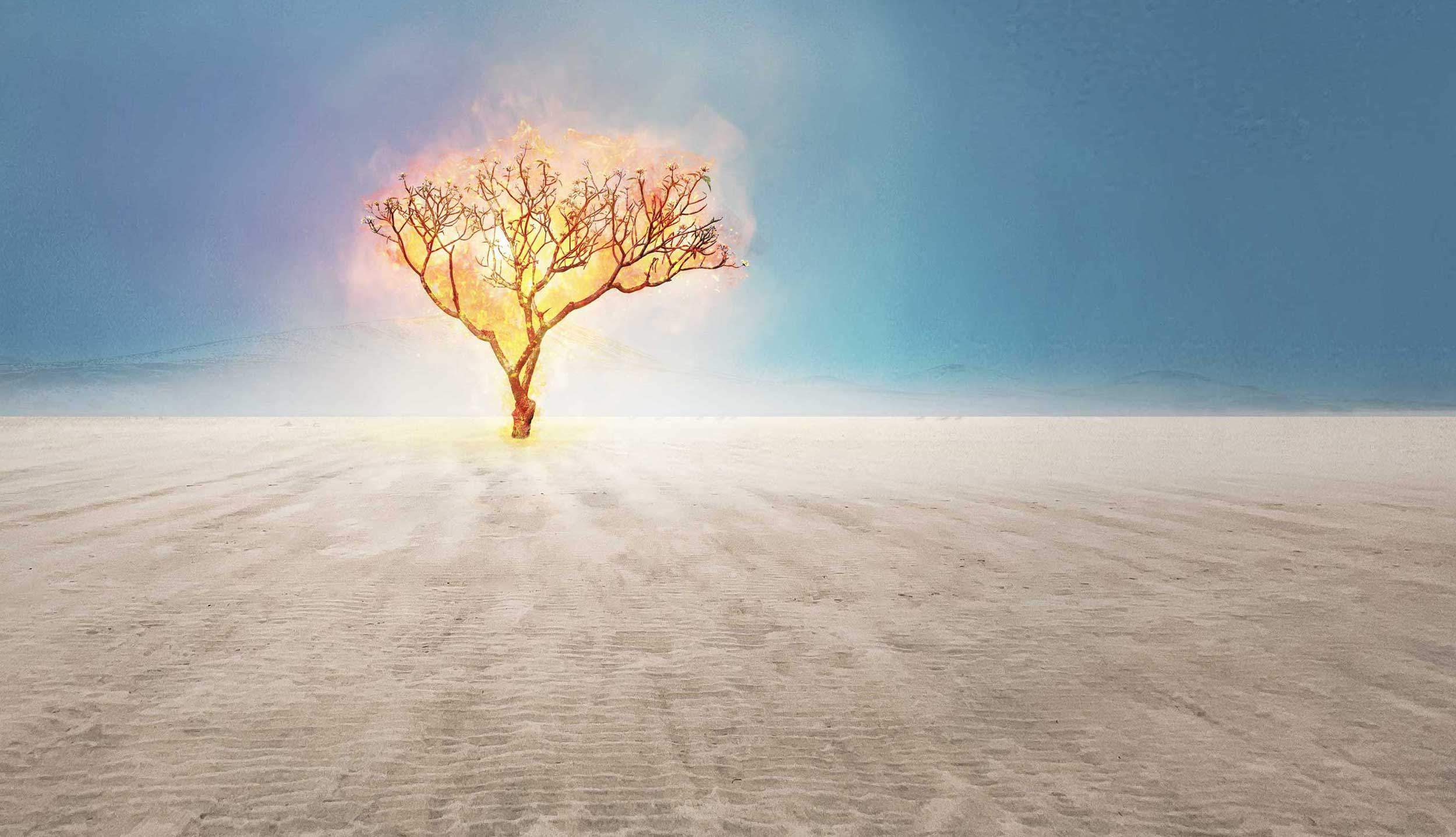 Mehr von seiner Heiligkeit